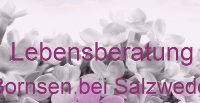 Lebensberatung Bornsen bei Salzwedel | Top-Experten für Kartenlegen, Wahrsagen, Hellsehen, Zukunftsdeutung. Lebensberatung Bornsen bei Salzwedel | Top-Experten für Kartenlegen, Wahrsagen, Hellsehen, Zukunftsdeutung.